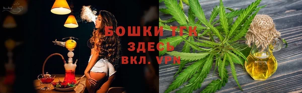 сатива Арсеньев