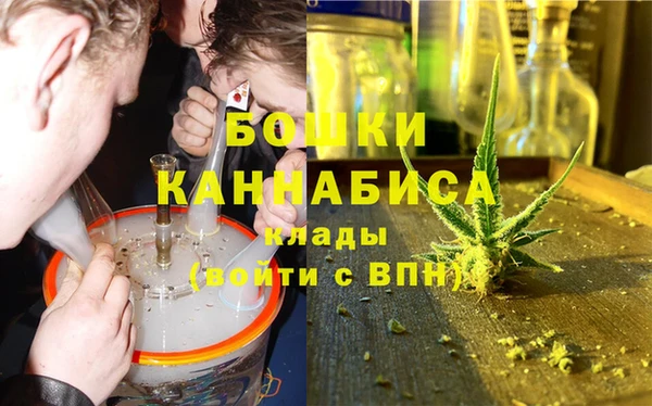 гидра Аркадак