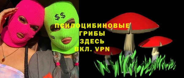 гидра Аркадак