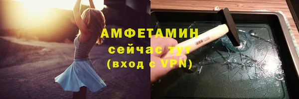 сатива Арсеньев