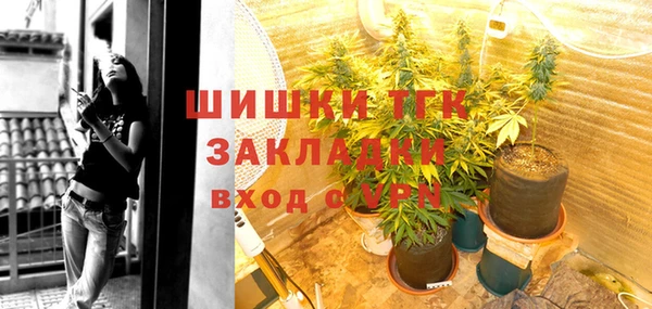 гидра Аркадак