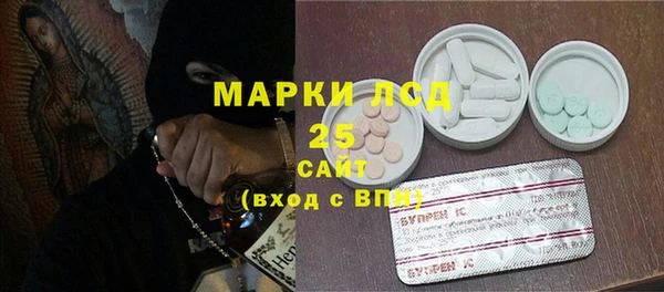 гидра Аркадак
