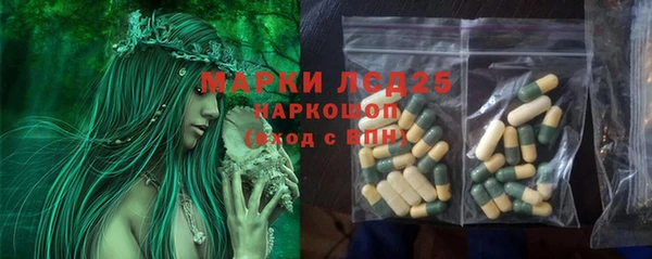 гидра Аркадак