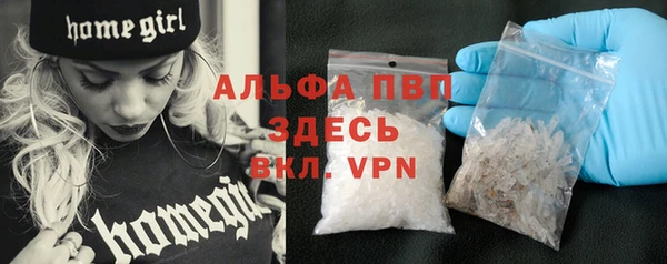 гидра Аркадак