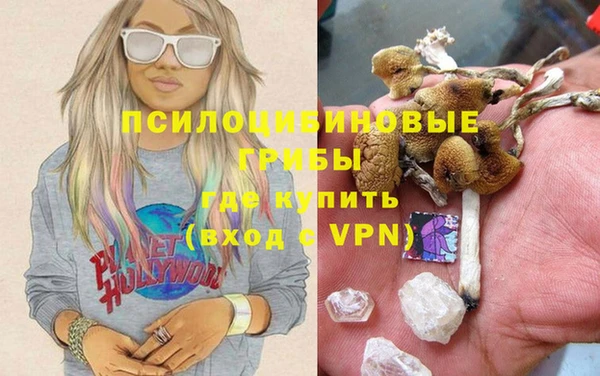 гидра Аркадак